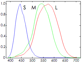三种视锥细胞（S、M和L类型）对单色光谱刺激的反应,横坐标为光的波长，纵坐标为产生信号的强度